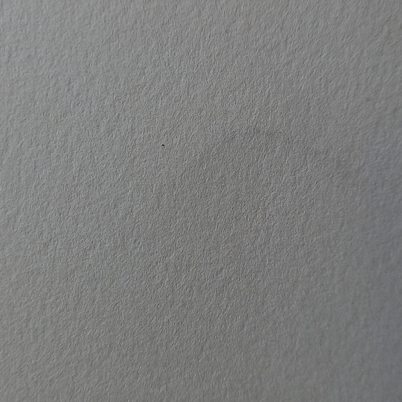 Tree Print - Picture 4 of 4